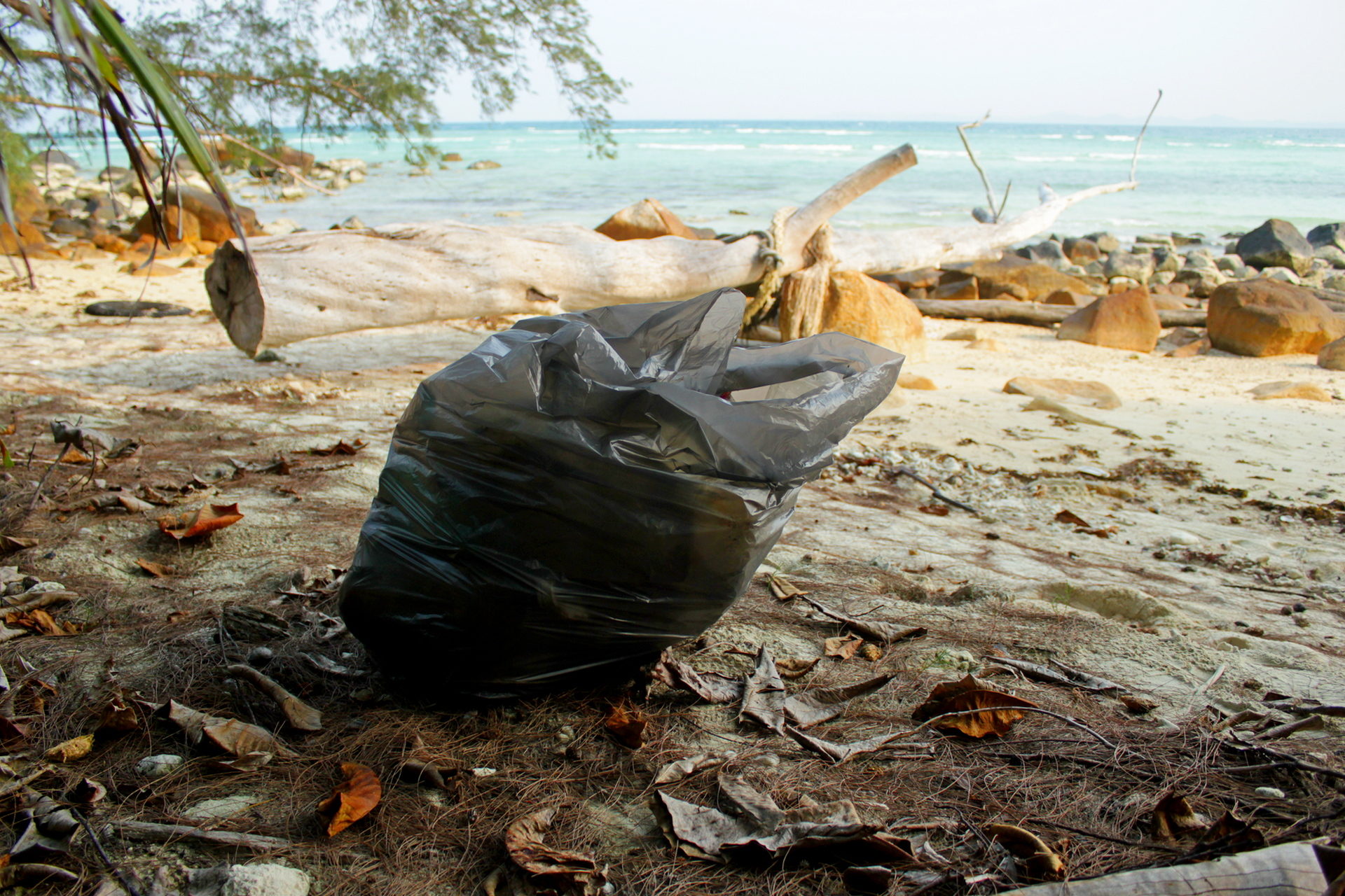 Sprzątanie Pulau Babi Besar, Johor, Malezja