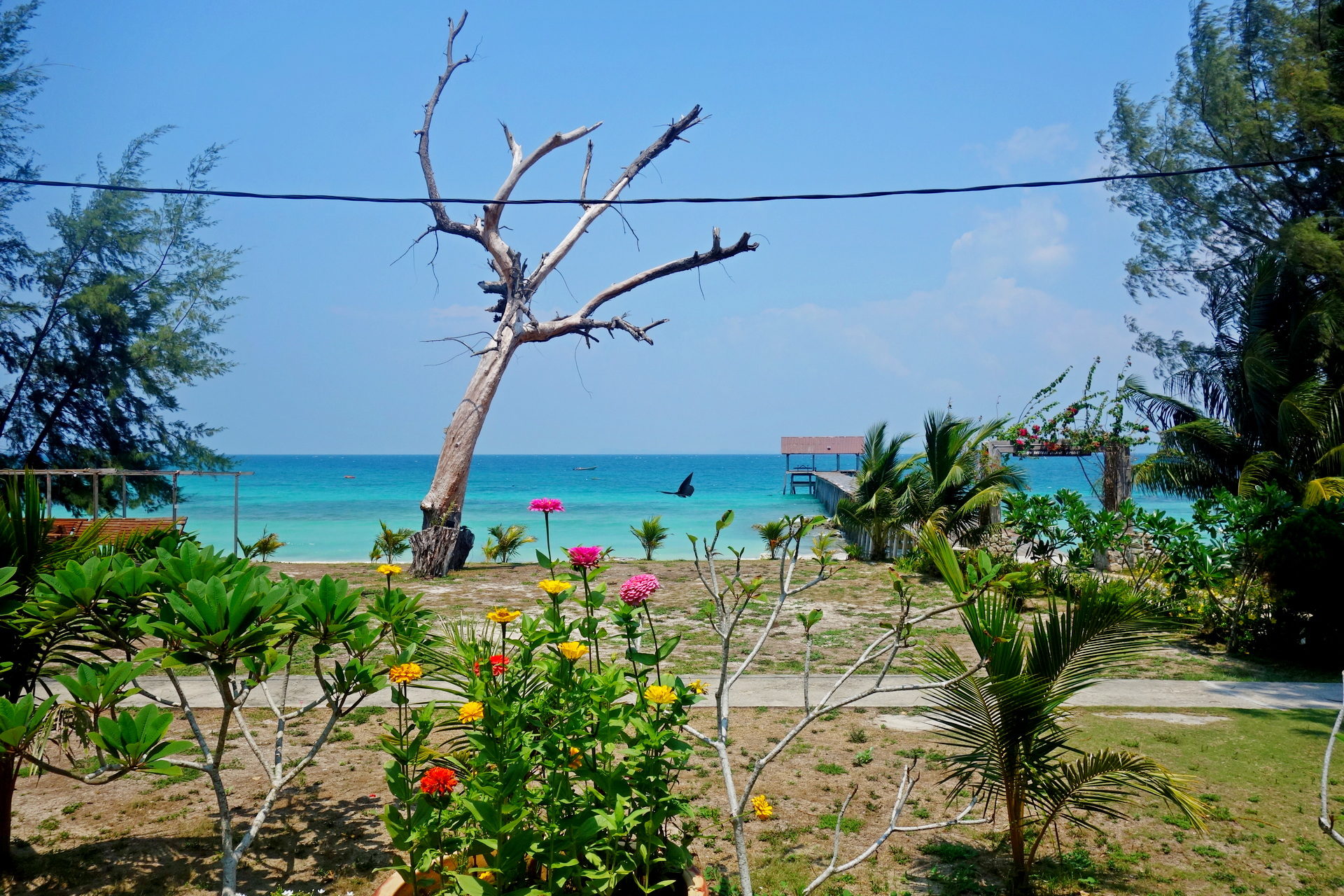 Pulau Babi Besar, Johor, Malezja